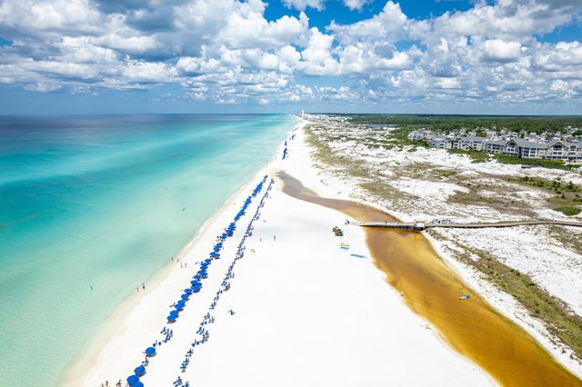 53 Creek Bridge Way, Watersound, FL 32461