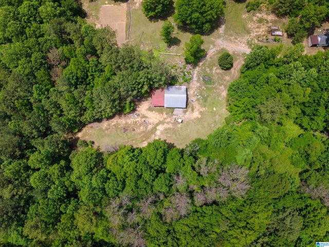 4561 COOK SPRINGS ROAD, Pell City, AL 35125