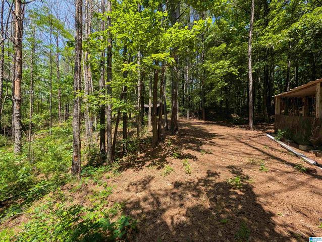 4561 COOK SPRINGS ROAD, Pell City, AL 35125
