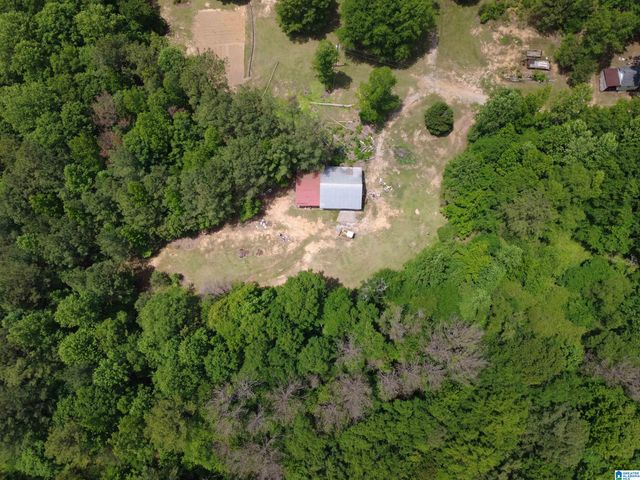 4561 COOK SPRINGS ROAD, Pell City, AL 35125