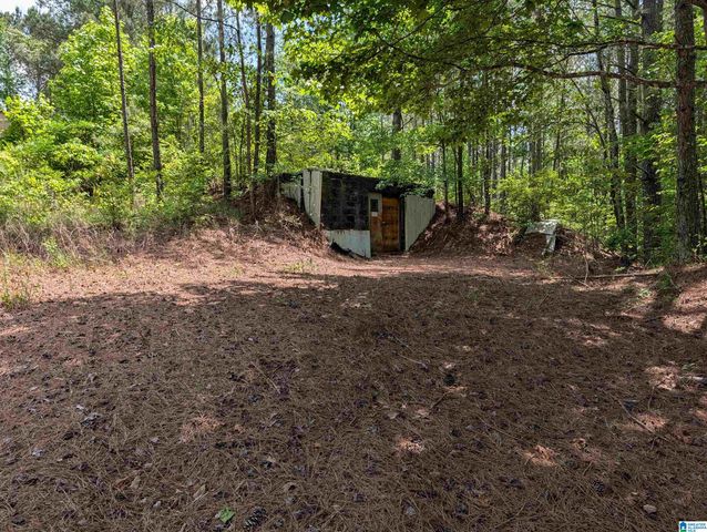 4561 COOK SPRINGS ROAD, Pell City, AL 35125
