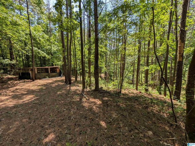 4561 COOK SPRINGS ROAD, Pell City, AL 35125