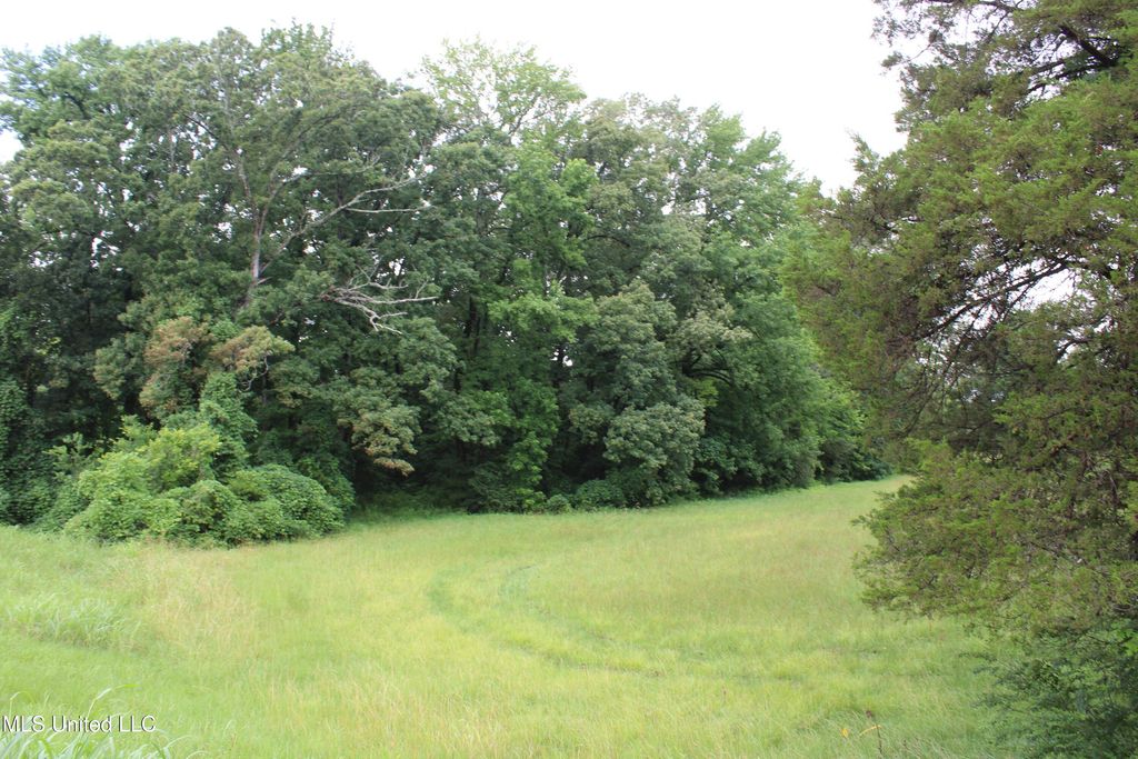 8484 Goodman Road, Olive Branch, MS 38654 — photo 4