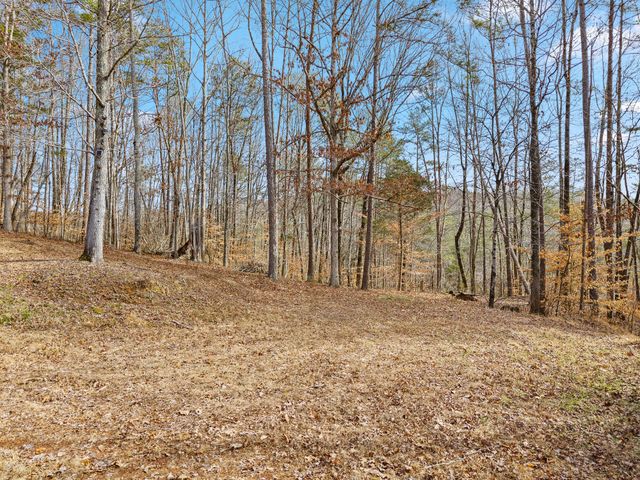 438 County Road 188, Decatur, TN 37322