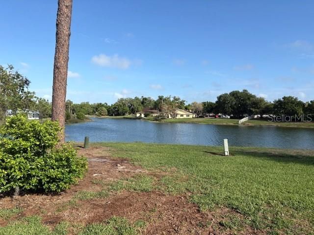 201 KINGS BOULEVARD 19, Sun City Center, FL 33573