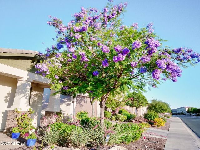 10113 W ANGELS Lane, Peoria, AZ 85383