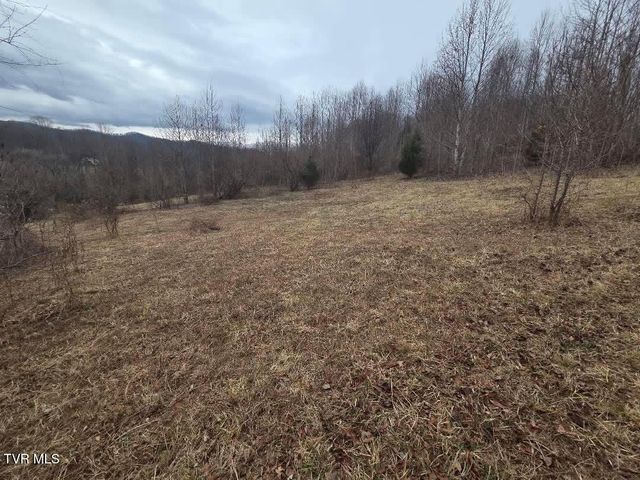 Tbd Lot 5 Sunny Lane, Unicoi, TN 37692