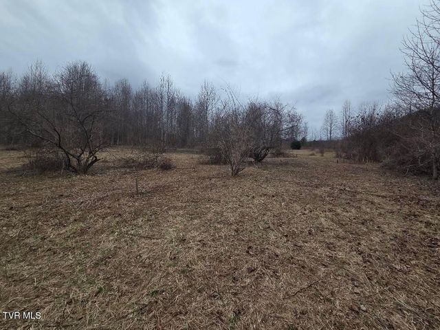 Tbd Lot 5 Sunny Lane, Unicoi, TN 37692