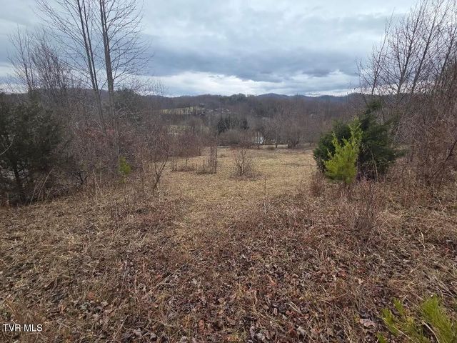 Tbd Lot 5 Sunny Lane, Unicoi, TN 37692