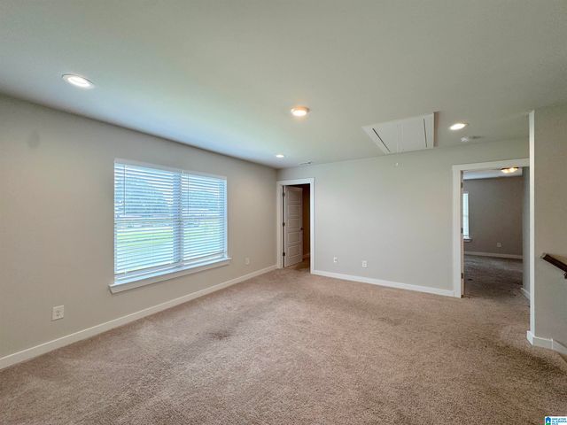 219 COTTON BAYOU DRIVE, Meridianville, AL 35759