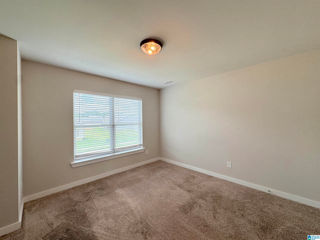 219 COTTON BAYOU DRIVE, Meridianville, AL 35759
