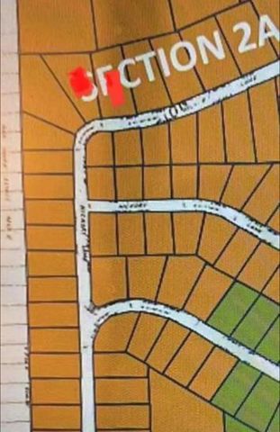 38 Landing Way, Trinity, TX 75862