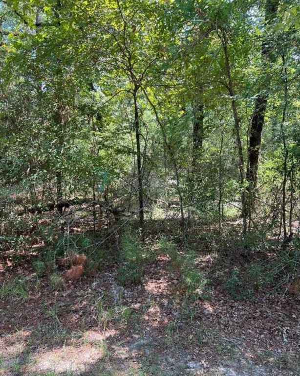 38 Landing Way, Trinity, TX 75862