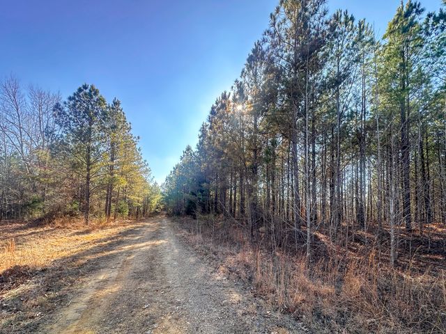 0 Indian Creek Rd, Hohenwald, TN 38462