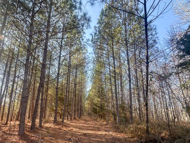 0 Indian Creek Rd, Hohenwald, TN 38462