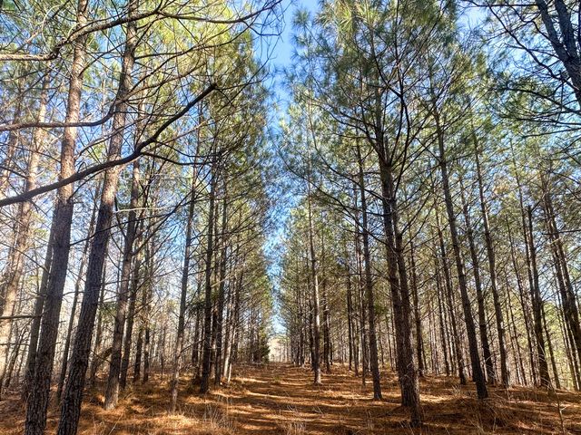 0 Indian Creek Rd, Hohenwald, TN 38462