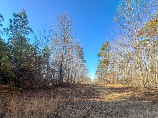 0 Indian Creek Rd, Hohenwald, TN 38462
