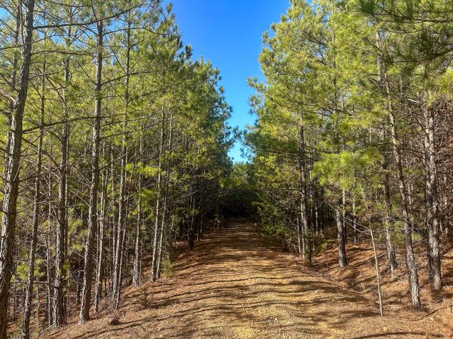 0 Indian Creek Rd, Hohenwald, TN 38462