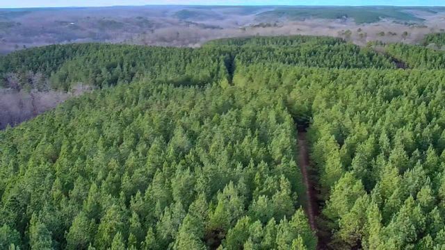 0 Indian Creek Rd, Hohenwald, TN 38462