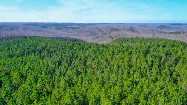 0 Indian Creek Rd, Hohenwald, TN 38462