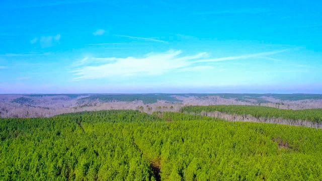 0 Indian Creek Rd, Hohenwald, TN 38462