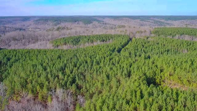 0 Indian Creek Rd, Hohenwald, TN 38462