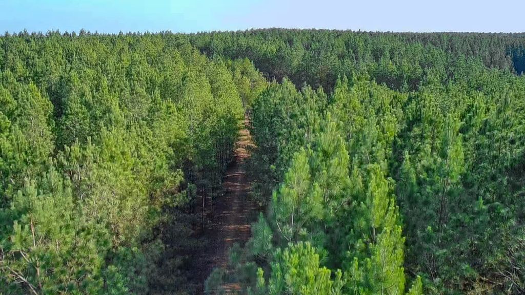 0 Indian Creek Rd, Hohenwald, TN 38462