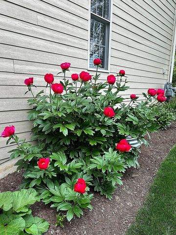 823 Columbia Circle, North Aurora, IL 60542