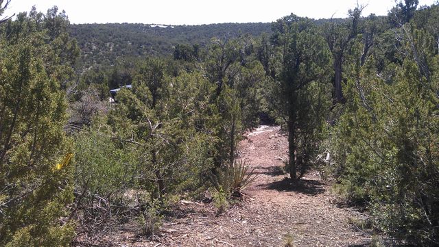 31 Canon Escondido, Sandia Park, NM 87047