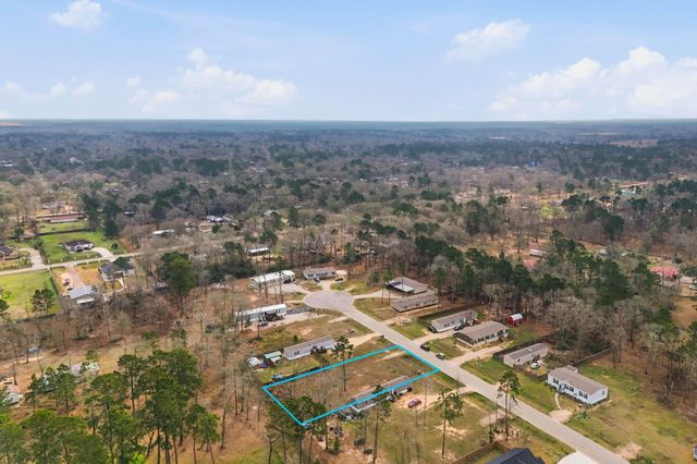 16339 Crockett Martin Estates Drive, Conroe, TX 77306