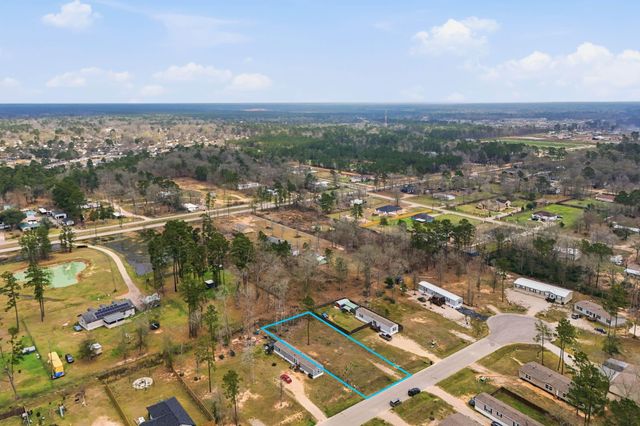 16339 Crockett Martin Estates Drive, Conroe, TX 77306