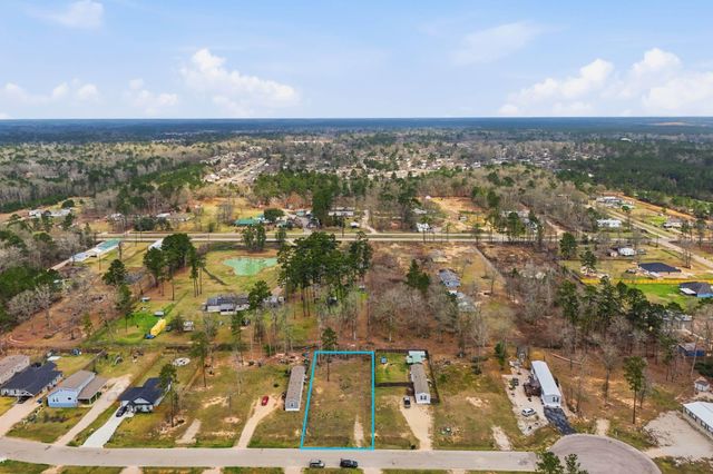 16339 Crockett Martin Estates Drive, Conroe, TX 77306