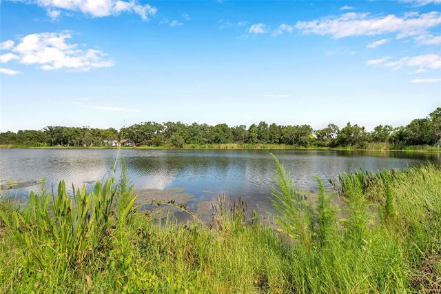 4812 WALNUT RIDGE ROAD, Land O Lakes, FL 34638