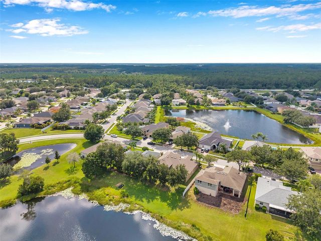 4812 WALNUT RIDGE ROAD, Land O Lakes, FL 34638