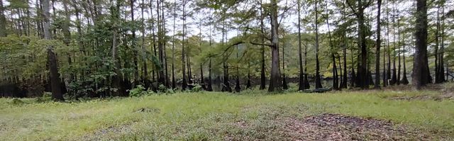 4668 Calhoun 245, Hampton, AR 71744