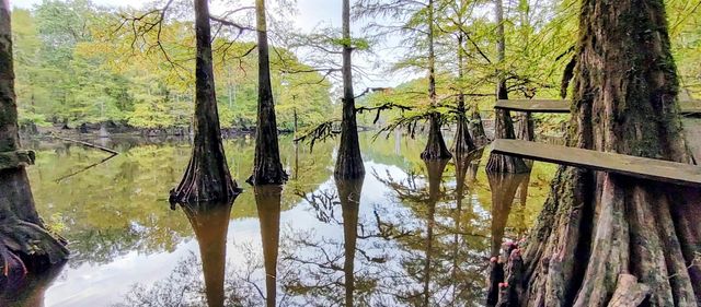 4668 Calhoun 245, Hampton, AR 71744