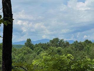 19.25 AC Old Hwy 76, Morganton, GA 30560