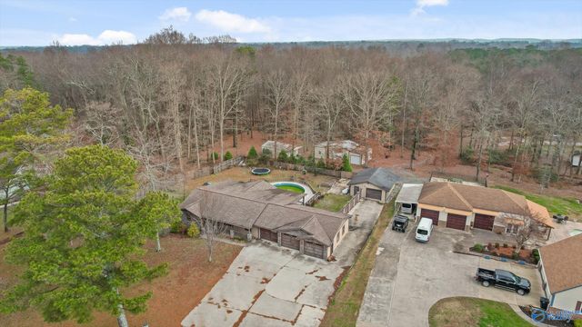 20262 Alabama Highway 117, Ider, AL 35981