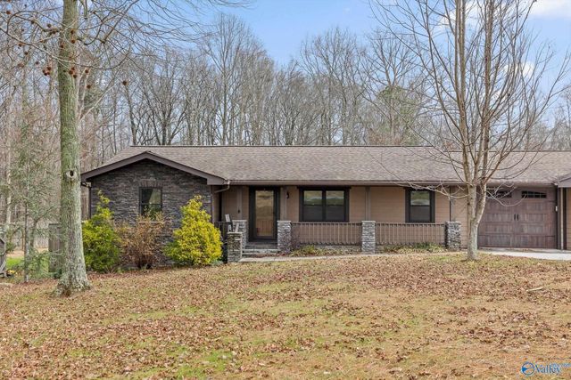 20262 Alabama Highway 117, Ider, AL 35981