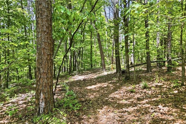 1709 Harrington Road, Ball Ground, GA 30107