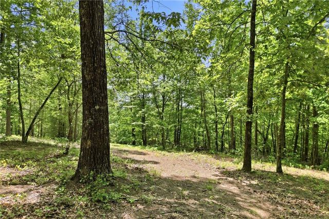 1709 Harrington Road, Ball Ground, GA 30107