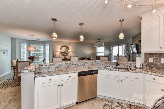 18557 Vineyard Point Lane 47, Cornelius, NC 28031