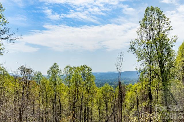 172 Sunny Ridge Road, Hendersonville, NC 28739