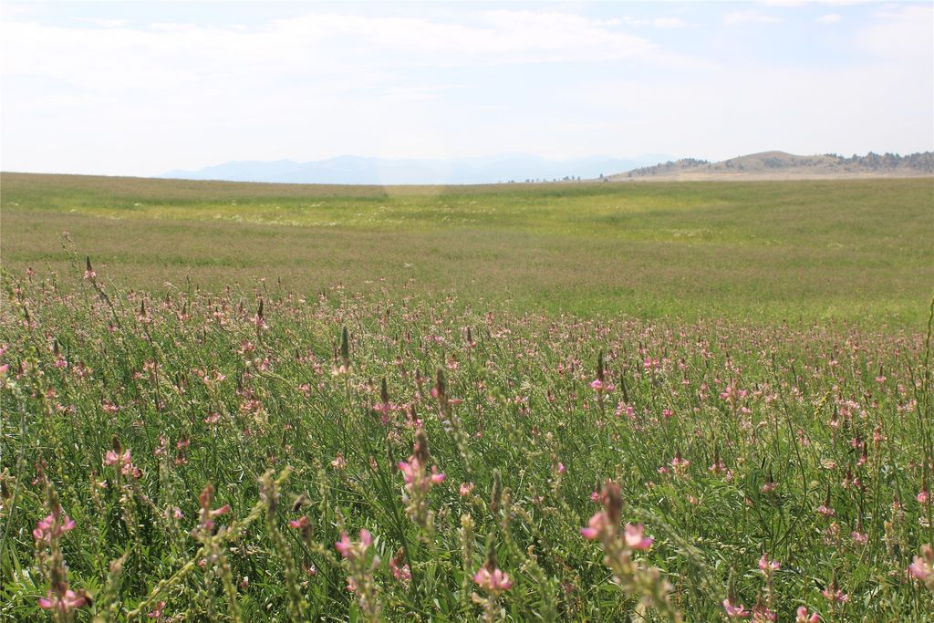 NHN Danas Point Drive, Helena, MT 59602 photo 16