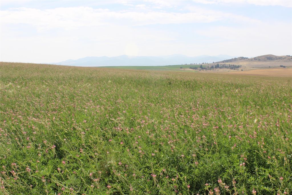 NHN Danas Point Drive, Helena, MT 59602 photo 17