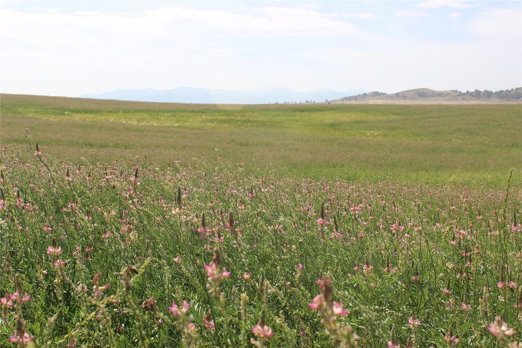 NHN Danas Point Drive, Helena, MT 59602 photo 6