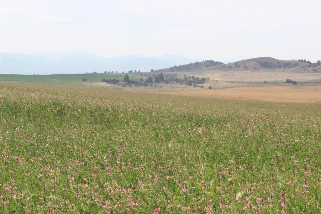 NHN Danas Point Drive, Helena, MT 59602 photo 8