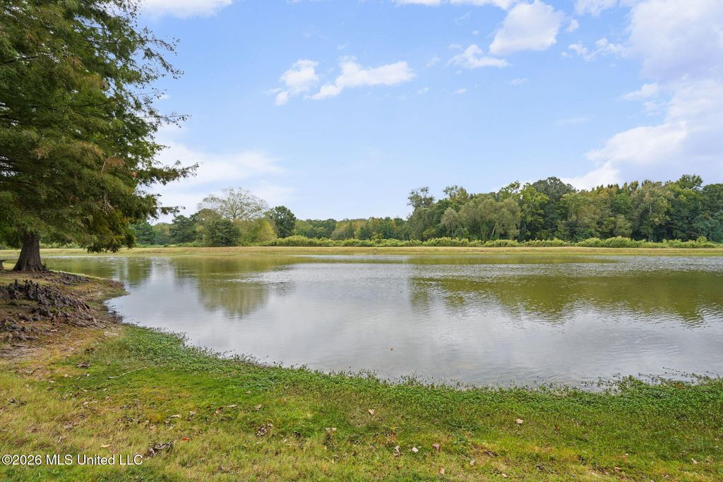 6234 Cheyenne Drive, Olive Branch, MS 38654 — photo 2