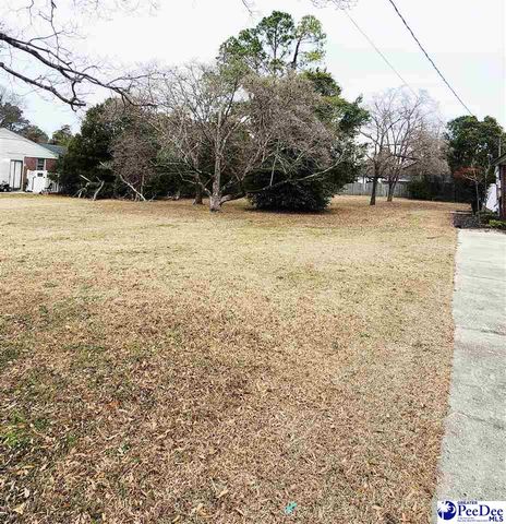 1321 E Washington Street, Dillon, SC 29536