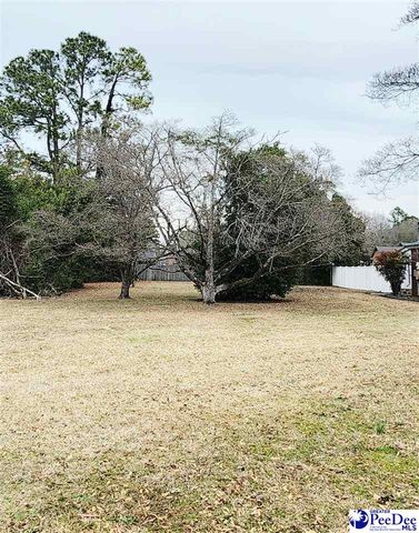 1321 E Washington Street, Dillon, SC 29536